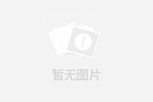 龙泉琴工负载高自润滑环形导轨自动化设备厂家